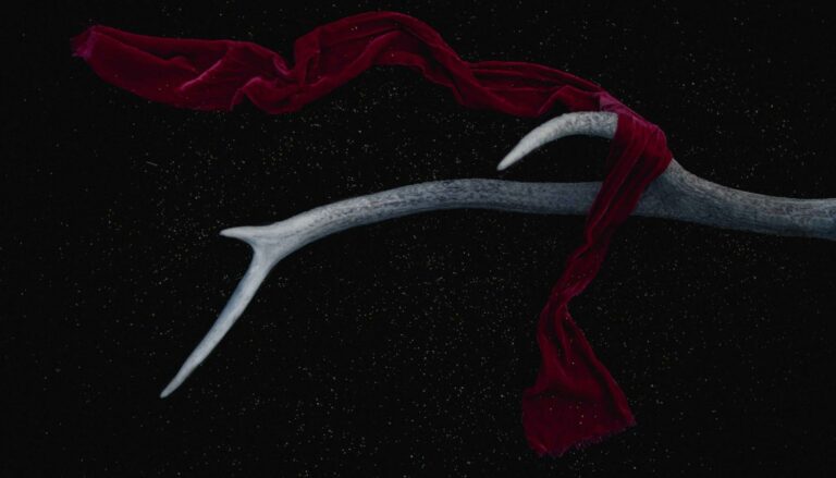 Acheter neuf ou ancien en 2026 : comparatif complet pour faire le bon choix