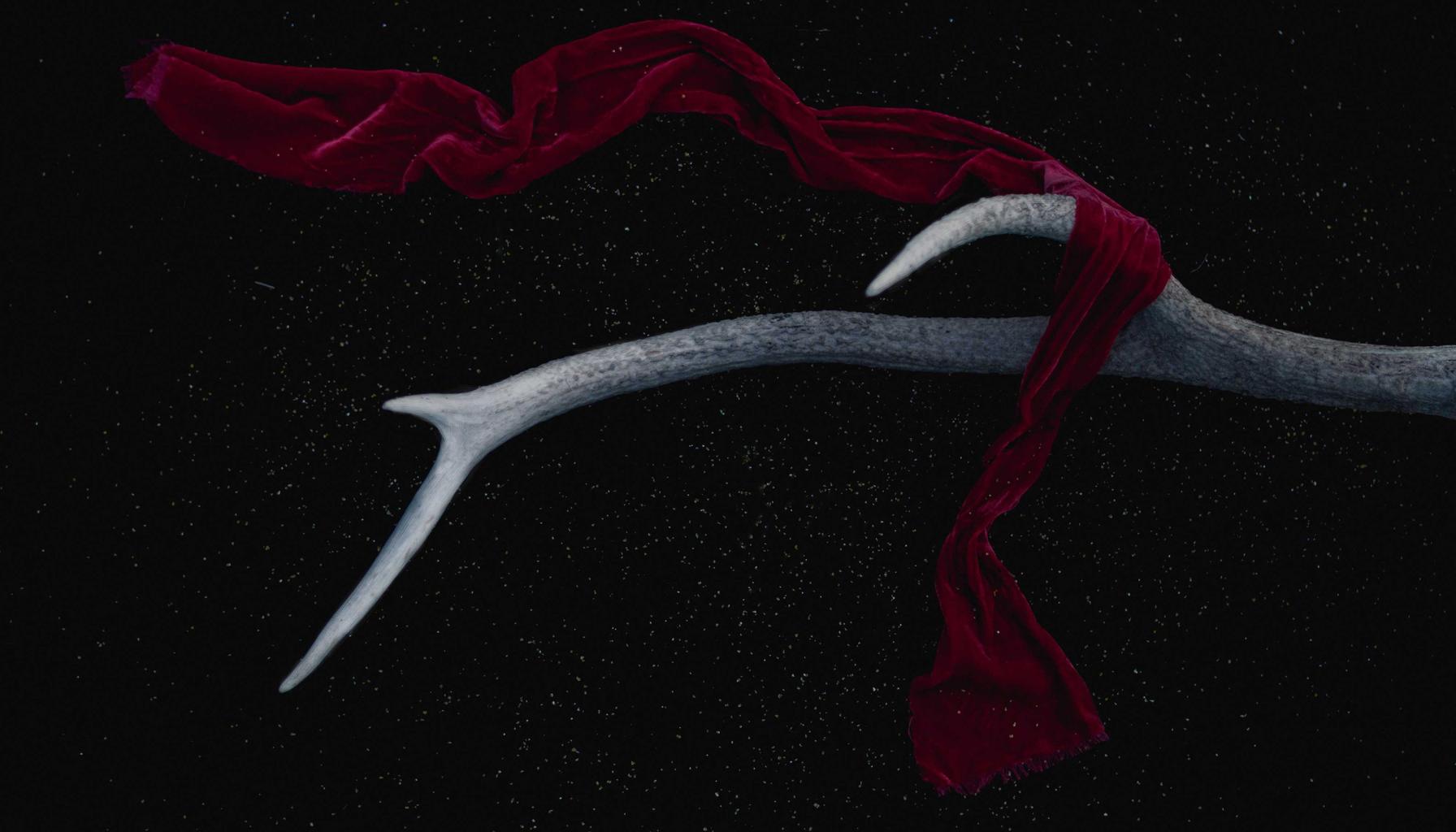 Acheter neuf ou ancien en 2026 : comparatif complet pour faire le bon choix