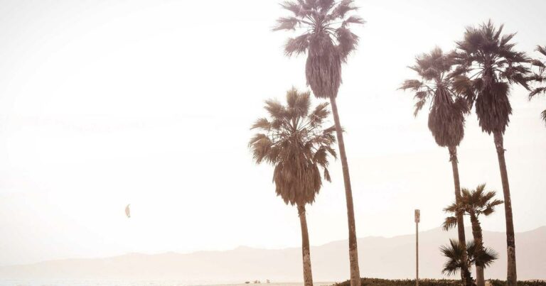 MaPrimeRénov&rsquo; 2024 : ce qui change pour la rénovation énergétique