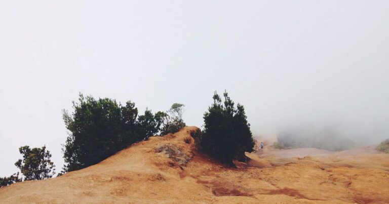 Taux immobilier mai 2024 : le point mensuel