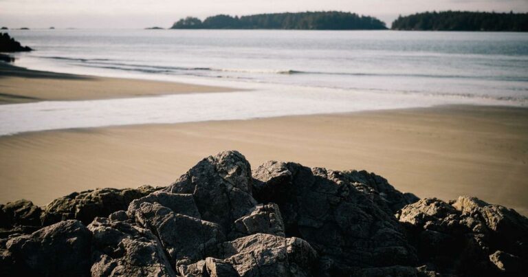 Investir en résidence senior : la niche qui se développe