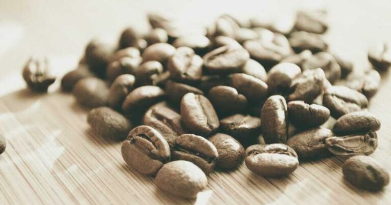 Taux immobilier août 2024 : le baromètre estival