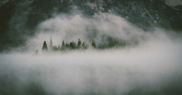 Gestion locative : faire soi-même ou déléguer ?