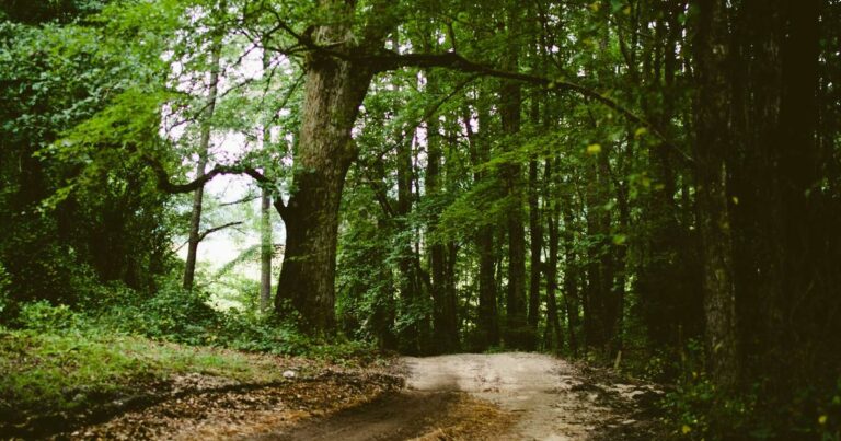 Investir en Espagne depuis la France : mode d’emploi 2024