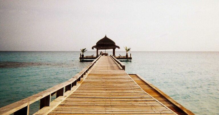 Immobilier en Alsace : Strasbourg et ses alentours en 2024