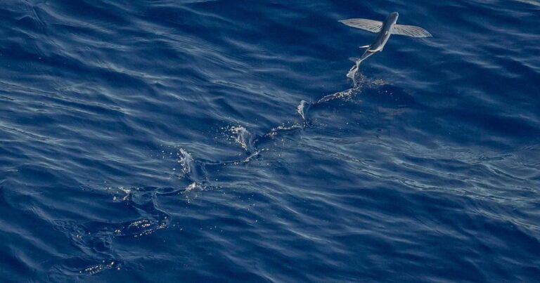 Fin du Pinel : quelles alternatives pour défiscaliser ?