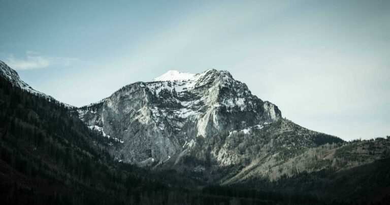 Toulouse immobilier 2024 : pourquoi la Ville Rose résiste