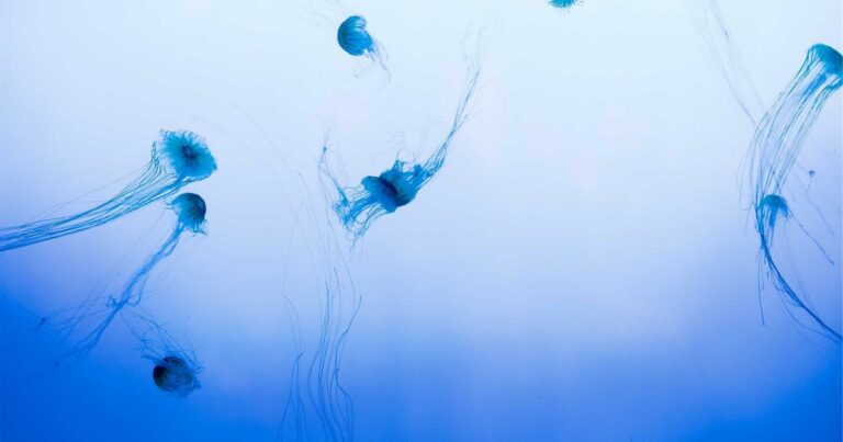 Bilan immobilier 2024 : l&rsquo;année qui a tout changé