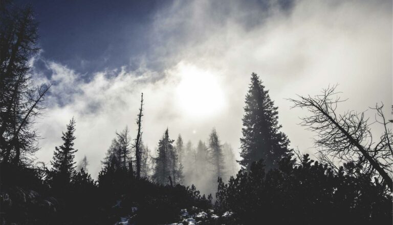 Assurance propriétaire non-occupant (PNO) : ce que tout investisseur doit savoir