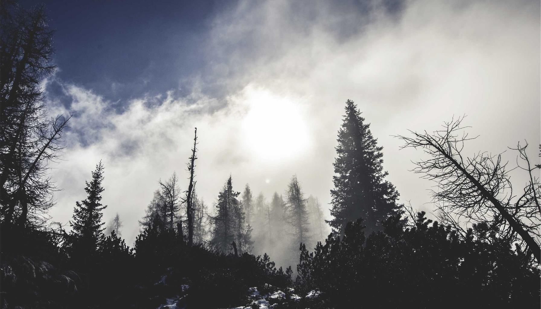 Assurance propriétaire non-occupant (PNO) : ce que tout investisseur doit savoir