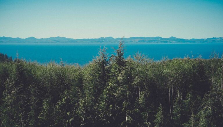 Bordeaux, Lyon, Toulouse, Nantes : les marchés immobiliers régionaux à surveiller en 2026