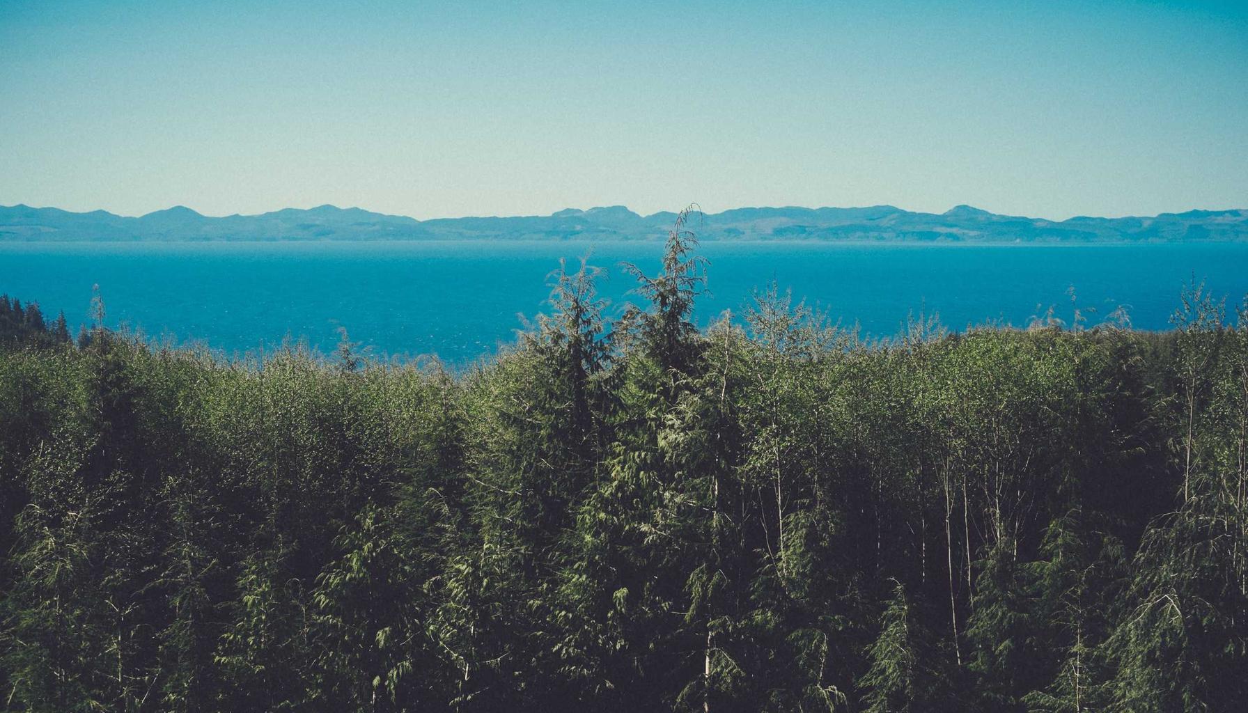 Bordeaux, Lyon, Toulouse, Nantes : les marchés immobiliers régionaux à surveiller en 2026