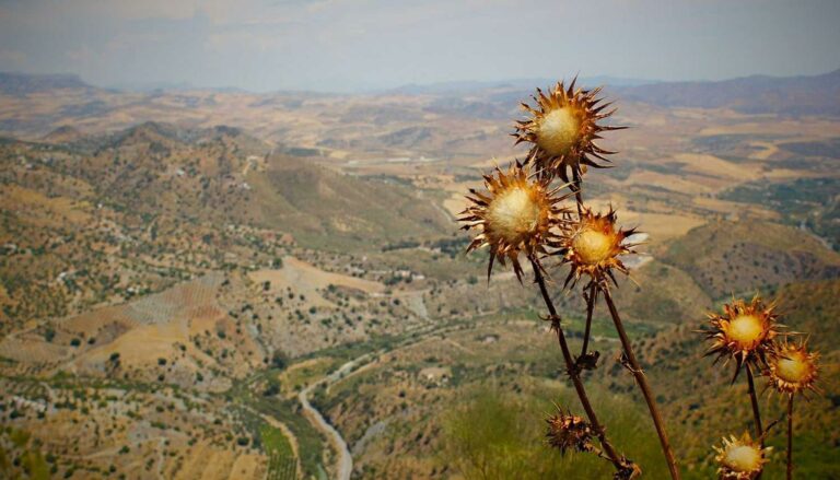 La colocation : stratégie rentable pour les investisseurs immobiliers en 2026