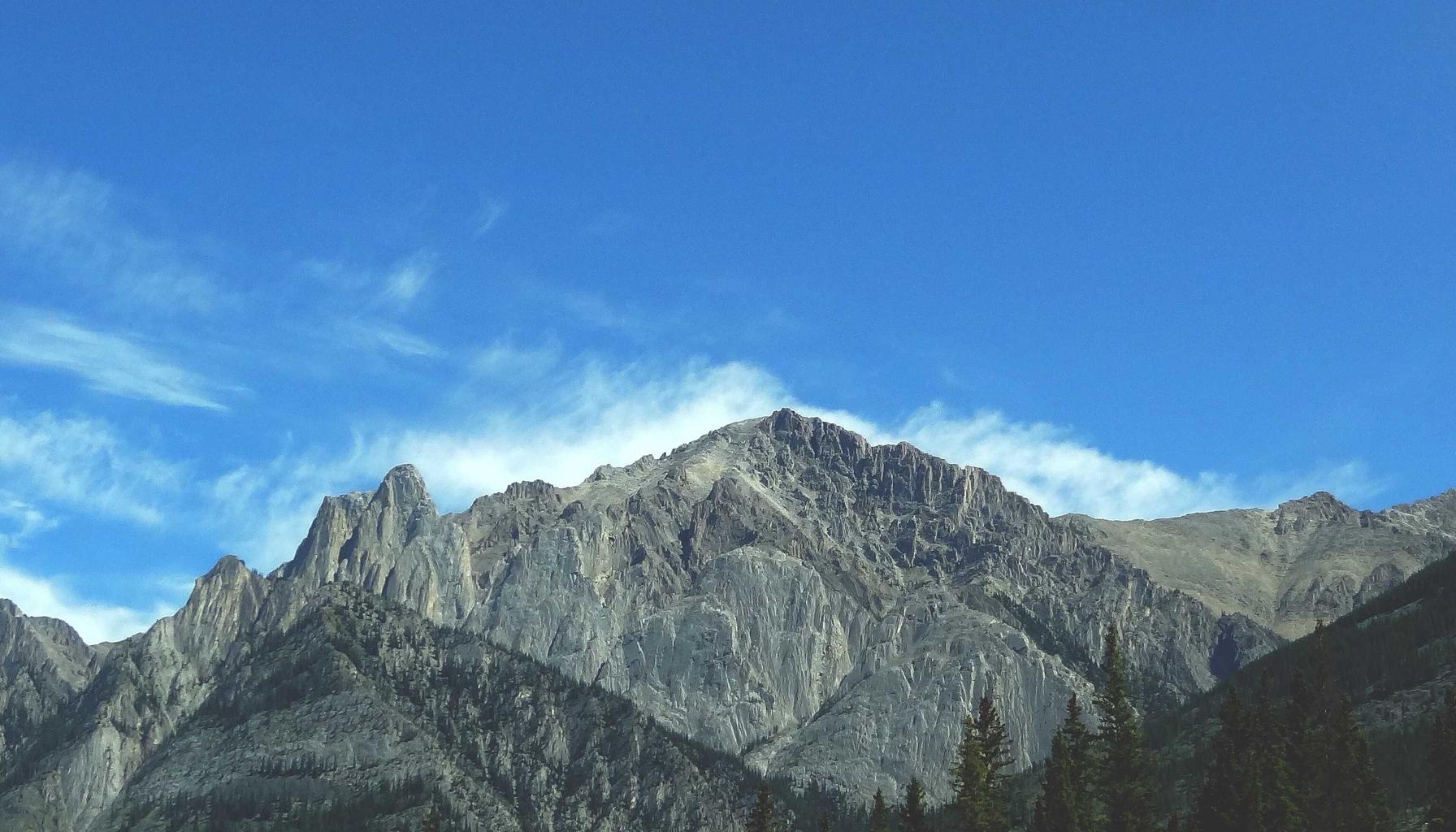 La colocation : stratégie rentable pour les investisseurs immobiliers en 2026