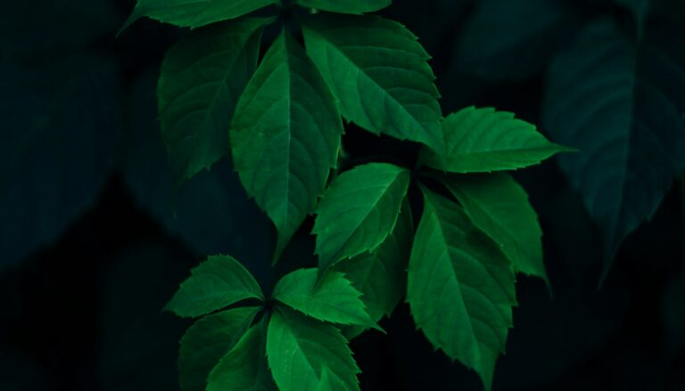 Stratégie patrimoniale pour les 50-60 ans : préparer activement et sereinement sa retraite