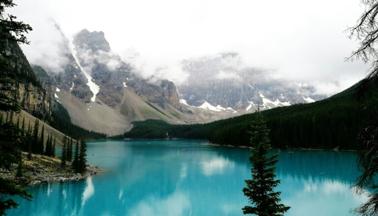 Nue-propriété : acheter moins cher aujourd&rsquo;hui pour récupérer la pleine propriété demain