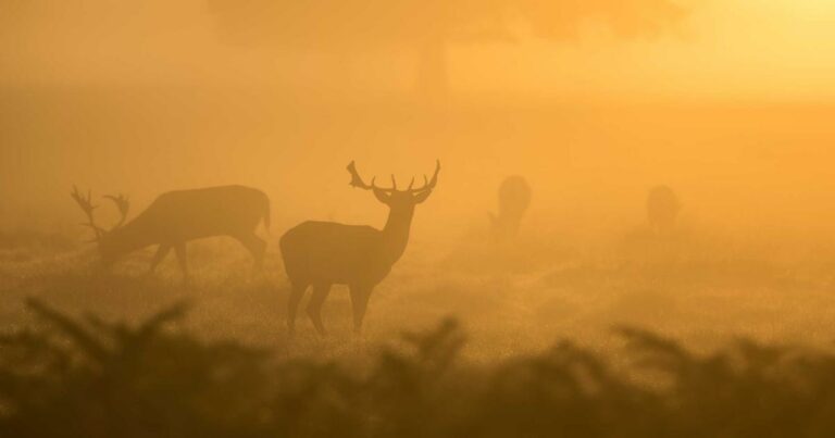 Acheter ou louer en 2025 : la grande simulation chiffrée