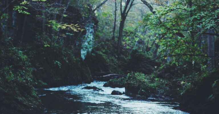 Expatriés et investissement immobilier en France en 2025 : le guide complet