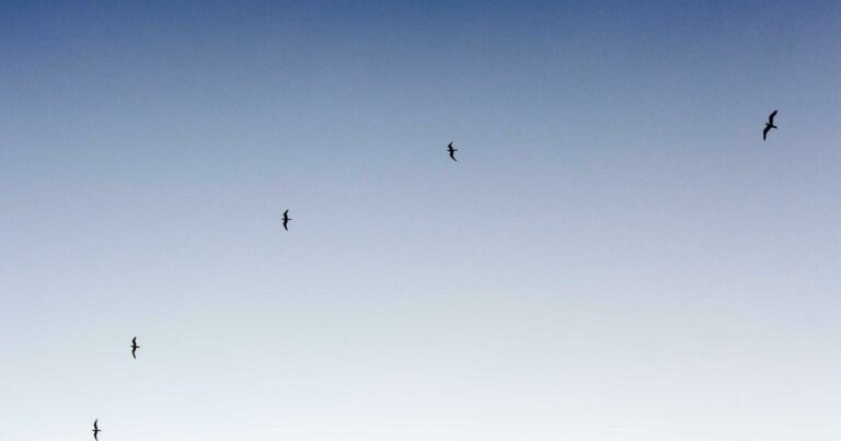 Taux immobilier mai 2025 : analyse et stratégie pour les emprunteurs