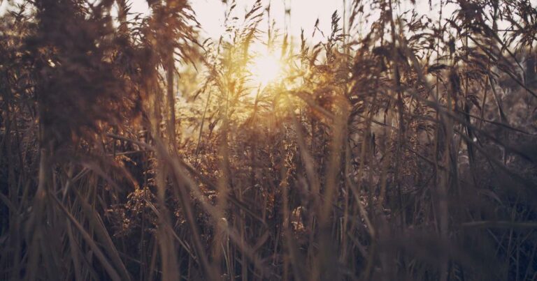 Rénovation énergétique en 2025 : les travaux les plus rentables