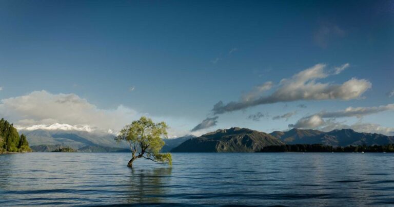 Strasbourg immobilier 2025 : le marché alsacien entre dynamisme et contraintes