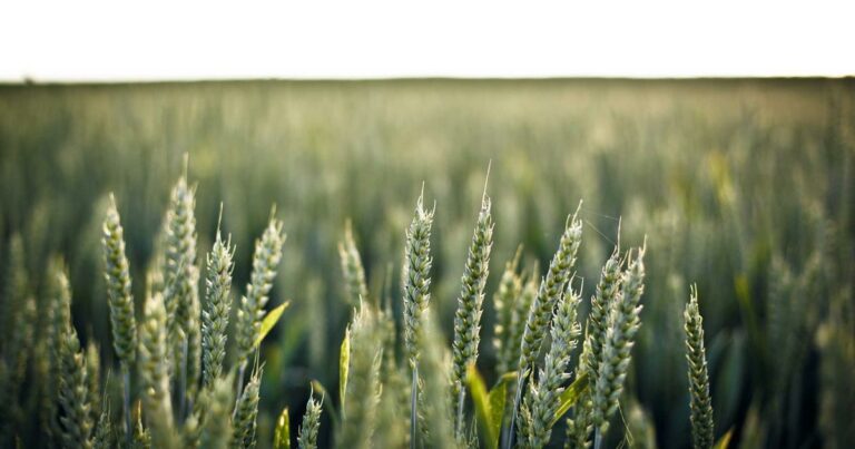 Taux immobilier juillet 2025 : l&rsquo;été immobilier sous de bons augures