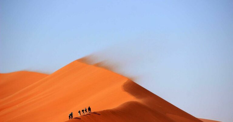 Immobilier et intelligence artificielle en 2025 : comment la tech transforme le marché