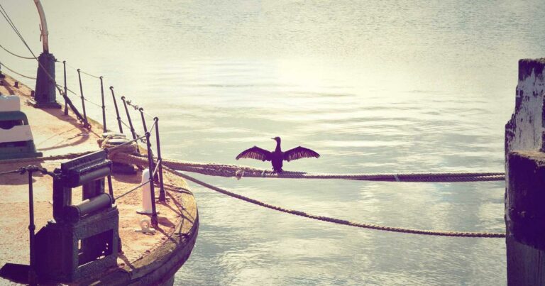 Succession et immobilier en 2025 : optimiser la transmission de son patrimoine