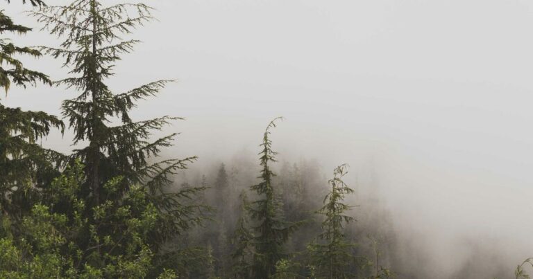 Lille et la métropole lilloise en 2025 : le nord qui monte