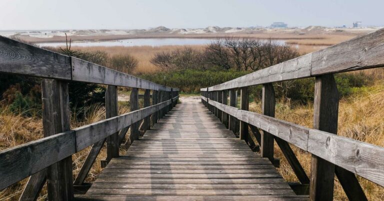 Immobilier en Auvergne-Rhône-Alpes hors Lyon en 2025 : les opportunités méconnues