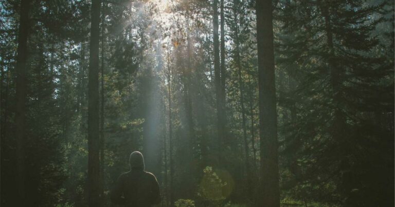 Immobilier et divorce en 2025 : guide pratique pour gérer le bien commun