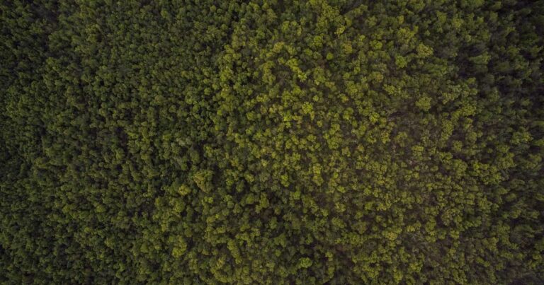 Taux immobilier octobre 2025 : bilan du troisième trimestre