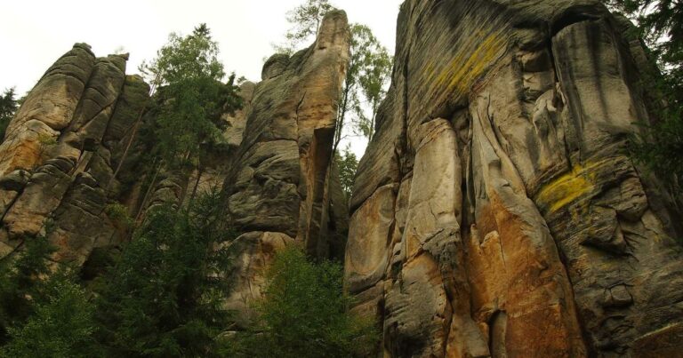 Le marché immobilier en janvier 2025 : baromètre et analyse des prix