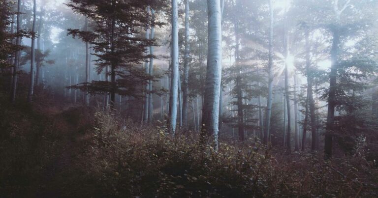 Achat immobilier en couple en 2025 : régimes, protections et stratégies