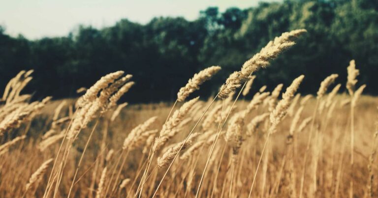 Taux immobilier novembre 2025 : vers les 3% historiques ?