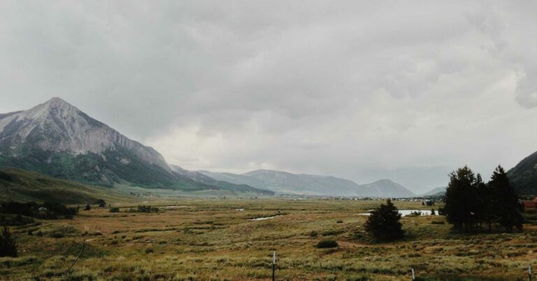 Bilan immobilier 2025 : les grandes évolutions qui ont marqué l&rsquo;année