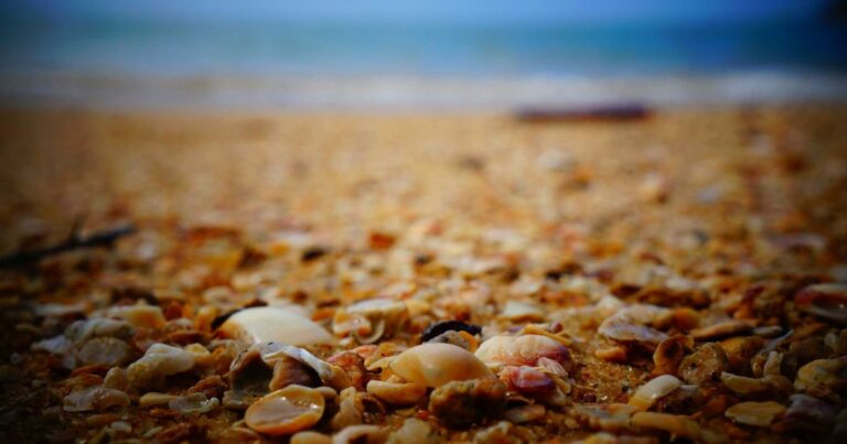 Dispositif Loc&rsquo;Avantages en 2025 : louer moins cher pour payer moins d&rsquo;impôts