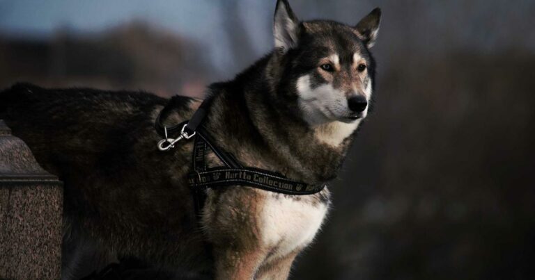 Les 10 tendances immobilières qui vont définir 2026