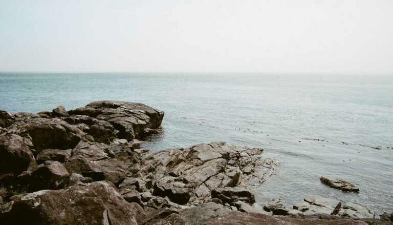 L'intelligence artificielle transforme l'immobilier en 2026 : outils, impacts et opportunités