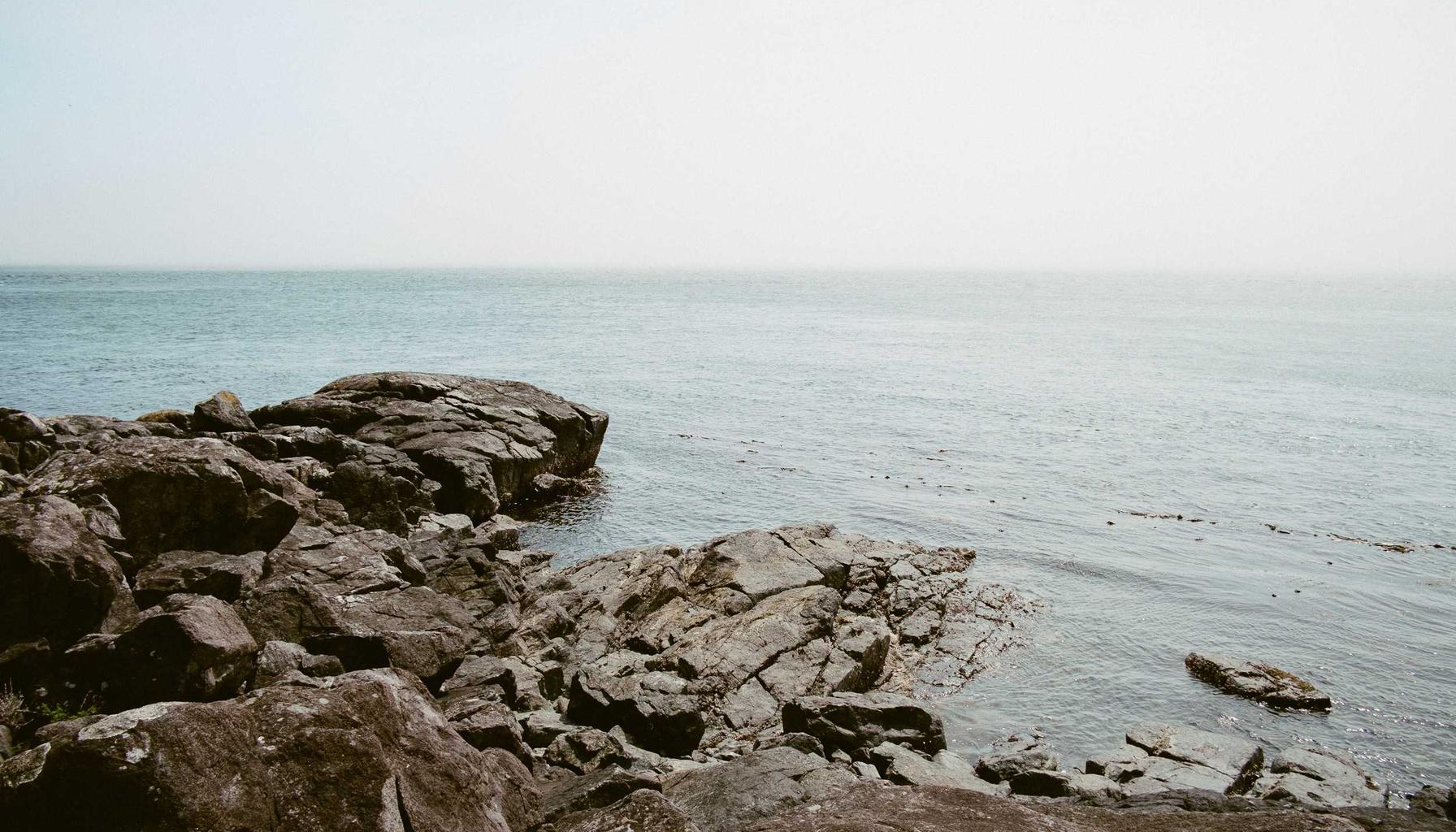 L'intelligence artificielle transforme l'immobilier en 2026 : outils, impacts et opportunités