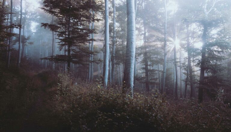 SCI familiale en 2026 : créer, gérer et optimiser sa société civile immobilière