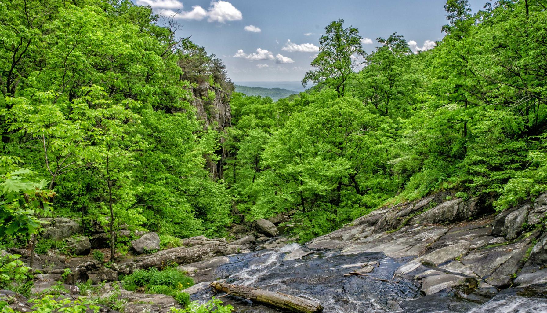 SCI familiale en 2026 : créer, gérer et optimiser sa société civile immobilière