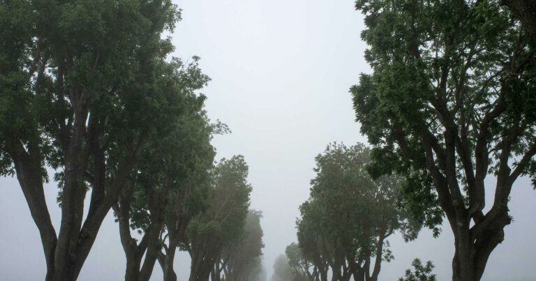 Investissement Locatif 2026 : Les Villes Moyennes Détrônent Paris et Lyon