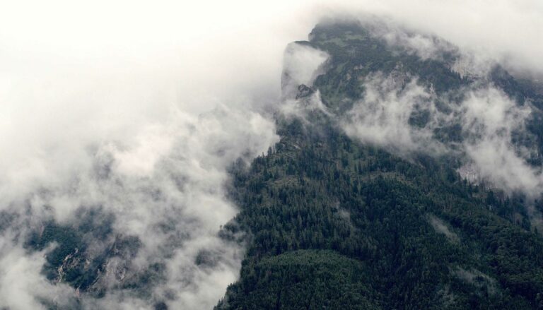 Zones tendues en France : impact sur la location, l'investissement et les prix immobiliers